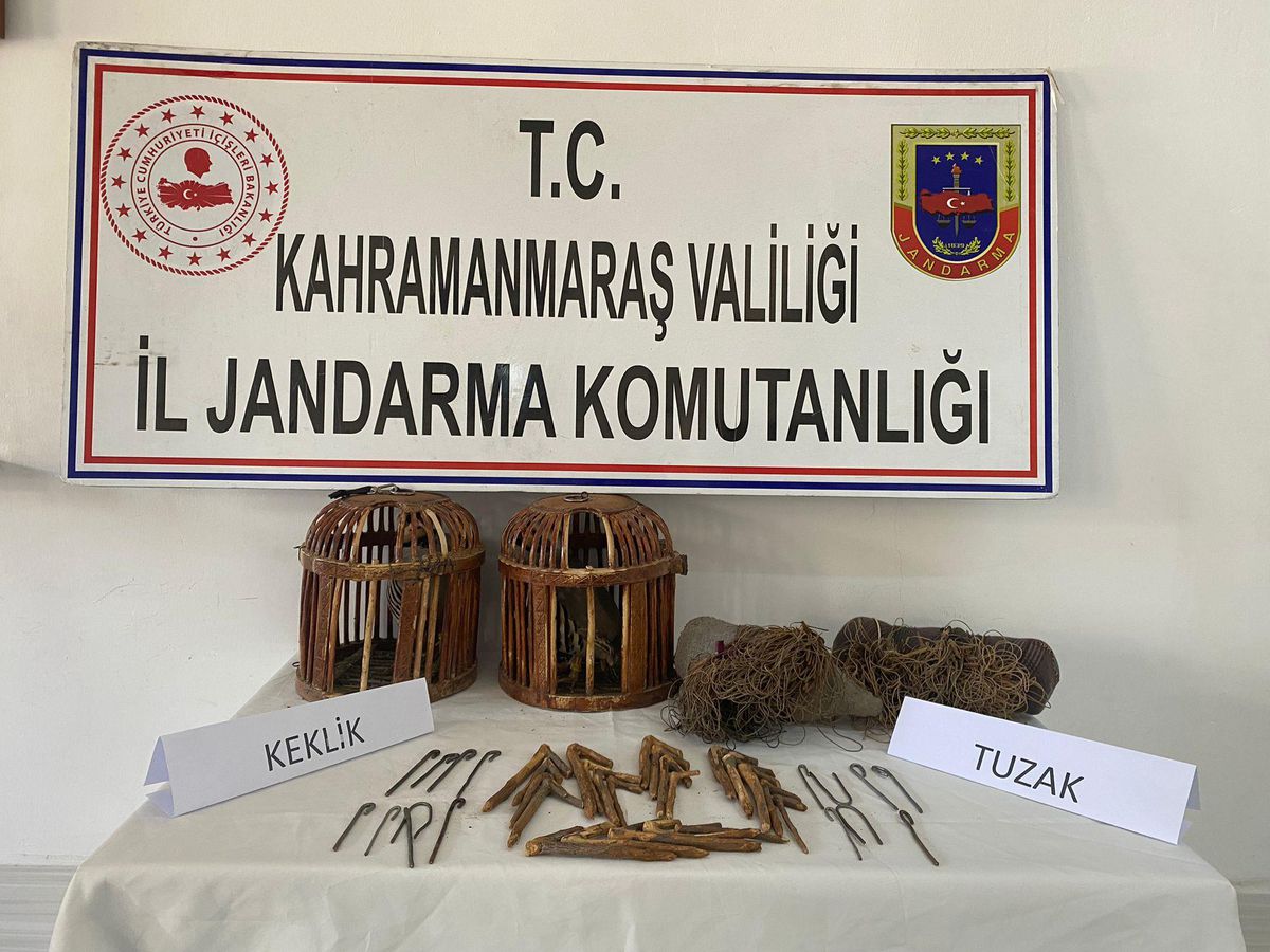 Kahramanmaraş\'ta kaçak keklik avcısına 6 bin 500 lira ceza
