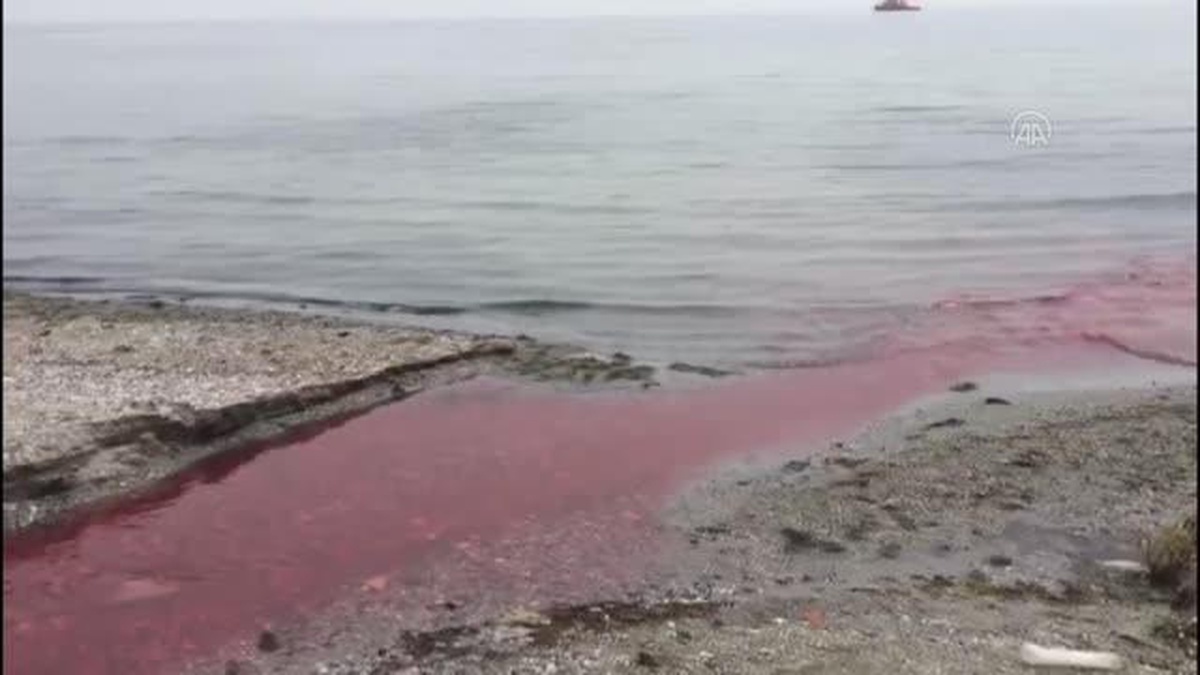 Kamara Deresi renk değiştirdi