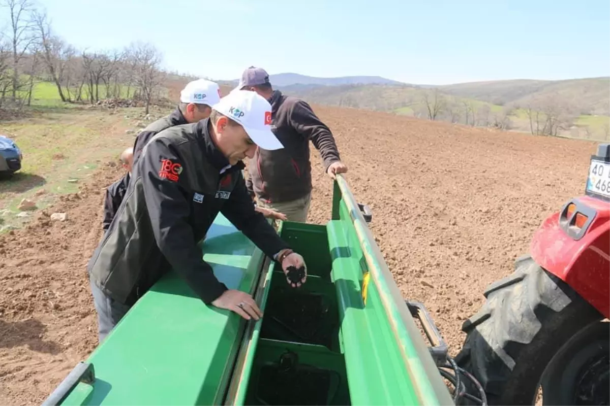 Kırşehir'de üreticilere çörek otu tohumu ve toz şeker desteği