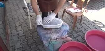 Meyan Şerbeti Ramazan ayının vazgeçilmezi oldu