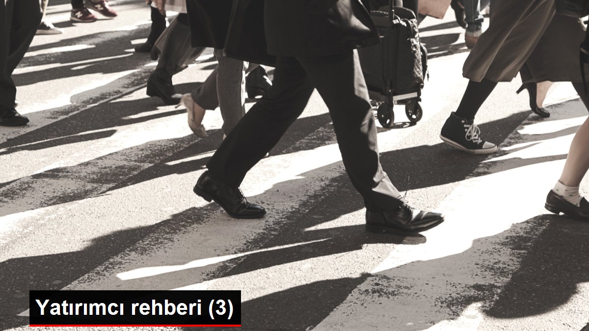 Son dakika ekonomi: Yatırımcı rehberi (3)