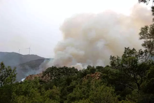 Son dakika haberleri! Bodrum'daki orman yangını 6 saat sonunda kontrol altına alındı