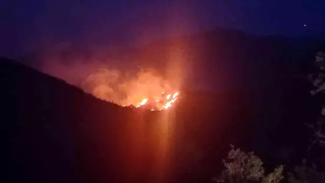 Son dakika haberleri! Bodrum'daki orman yangını 6 saat sonunda kontrol altına alındı