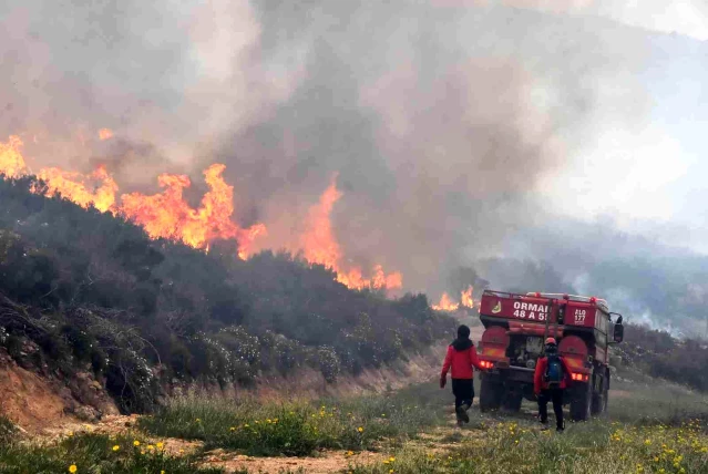 Son dakika haberleri! Bodrum'daki orman yangını 6 saat sonunda kontrol altına alındı