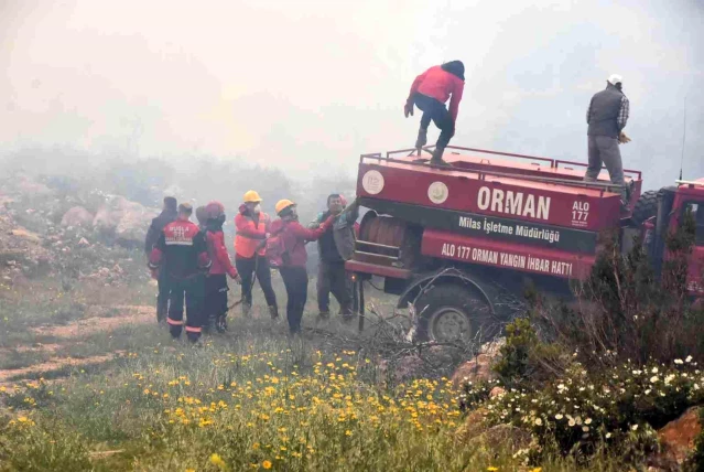 Son dakika haberleri! Bodrum'daki orman yangını 6 saat sonunda kontrol altına alındı