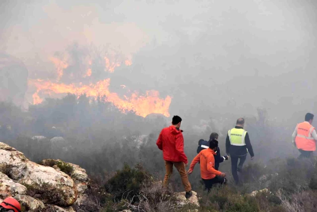Son dakika haberleri! Bodrum'daki orman yangını 6 saat sonunda kontrol altına alındı