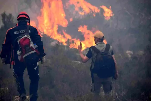 Son dakika haberleri! Bodrum'daki orman yangını 6 saat sonunda kontrol altına alındı