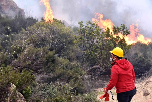 Son dakika haberleri! Bodrum'daki orman yangını 6 saat sonunda kontrol altına alındı