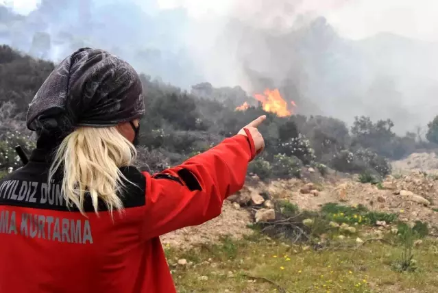 Son dakika haberleri! Bodrum'daki orman yangını 6 saat sonunda kontrol altına alındı