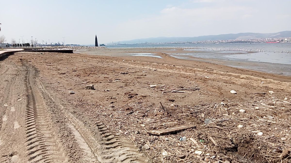Kocaeli\'de kumsalda kirliliğe neden olan besicilik firmasına 367 bin lira ceza