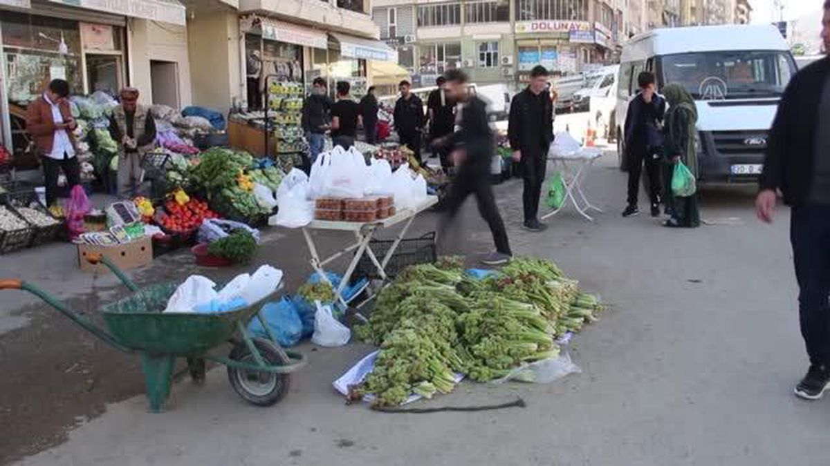 Şemdinli'de yaylalardan toplanan uçkun ilgi görüyor