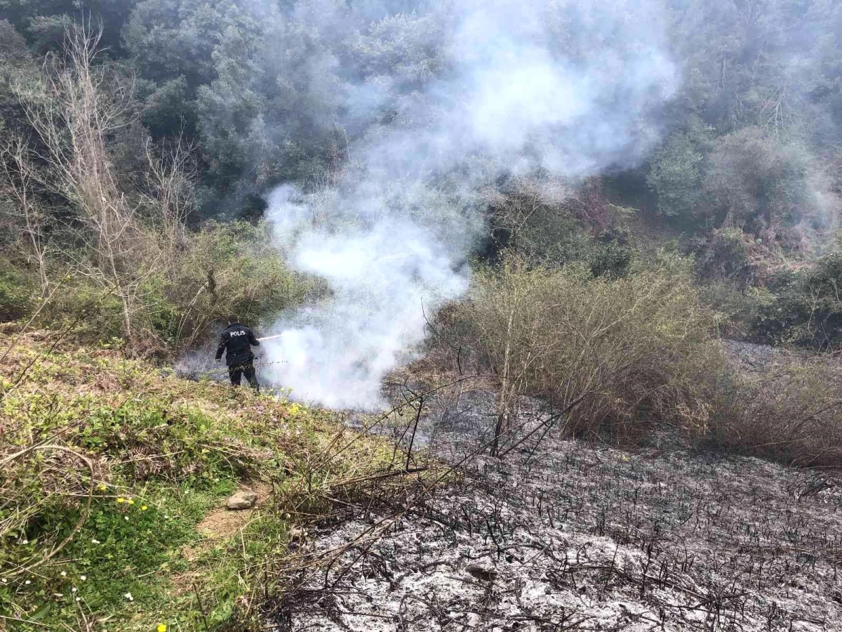 Sinop\'ta çıkan yangının büyümesini polis önledi