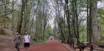 Vatandaşlardan Belgrad Ormanı'na araçla giriş ücretlerine tepki