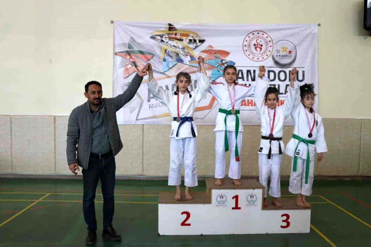 ANALİG Judo yarı final müsabakaları Erzincan\'da yapıldı
