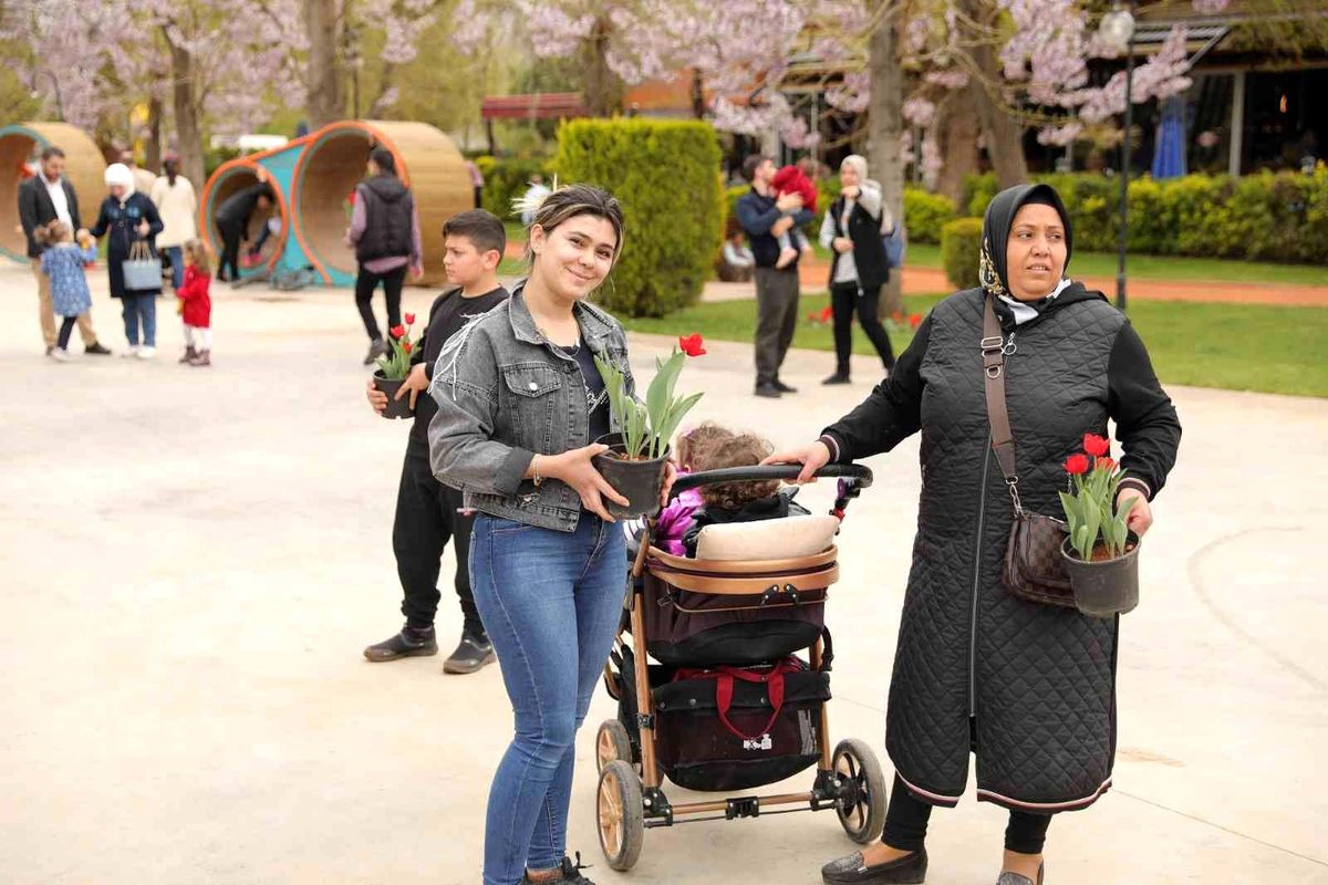 Gaziantep\'te lale devri