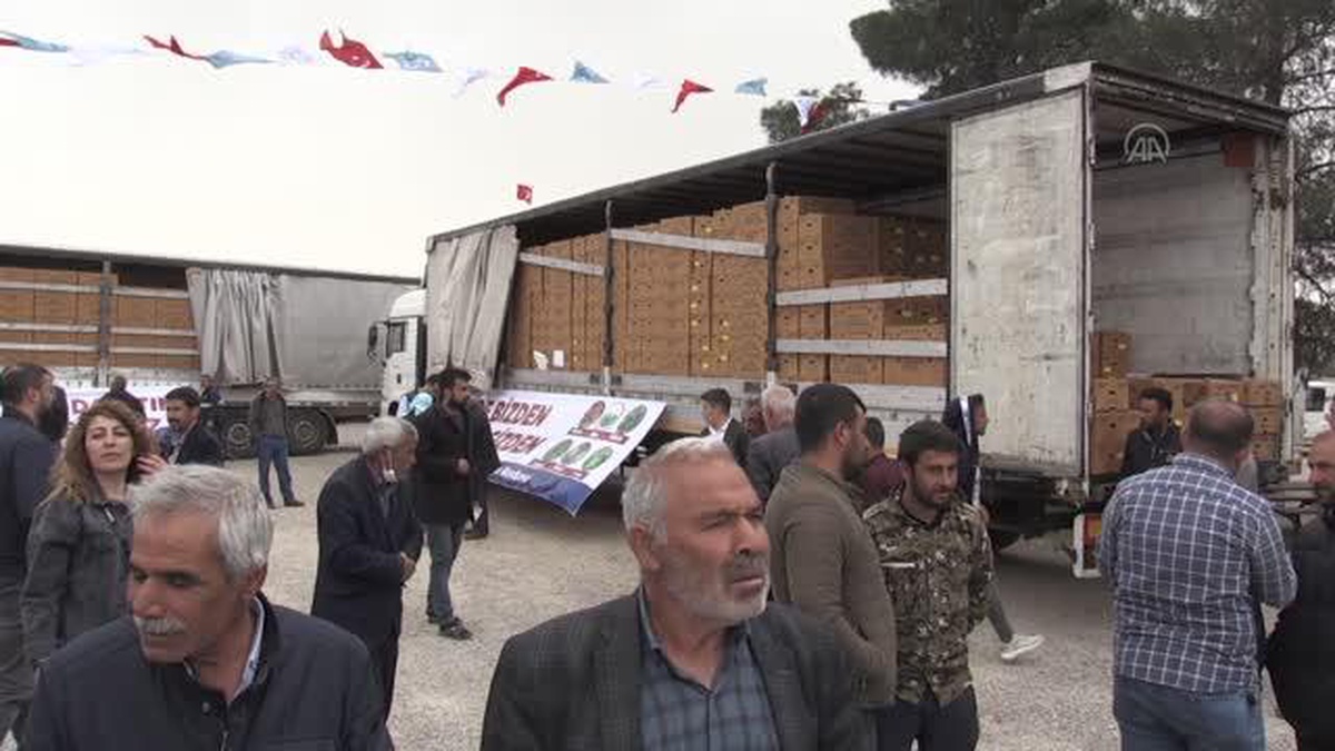 GAZİNATEP - Çiftçilere 9 milyon 950 bin fide dağıtıldı