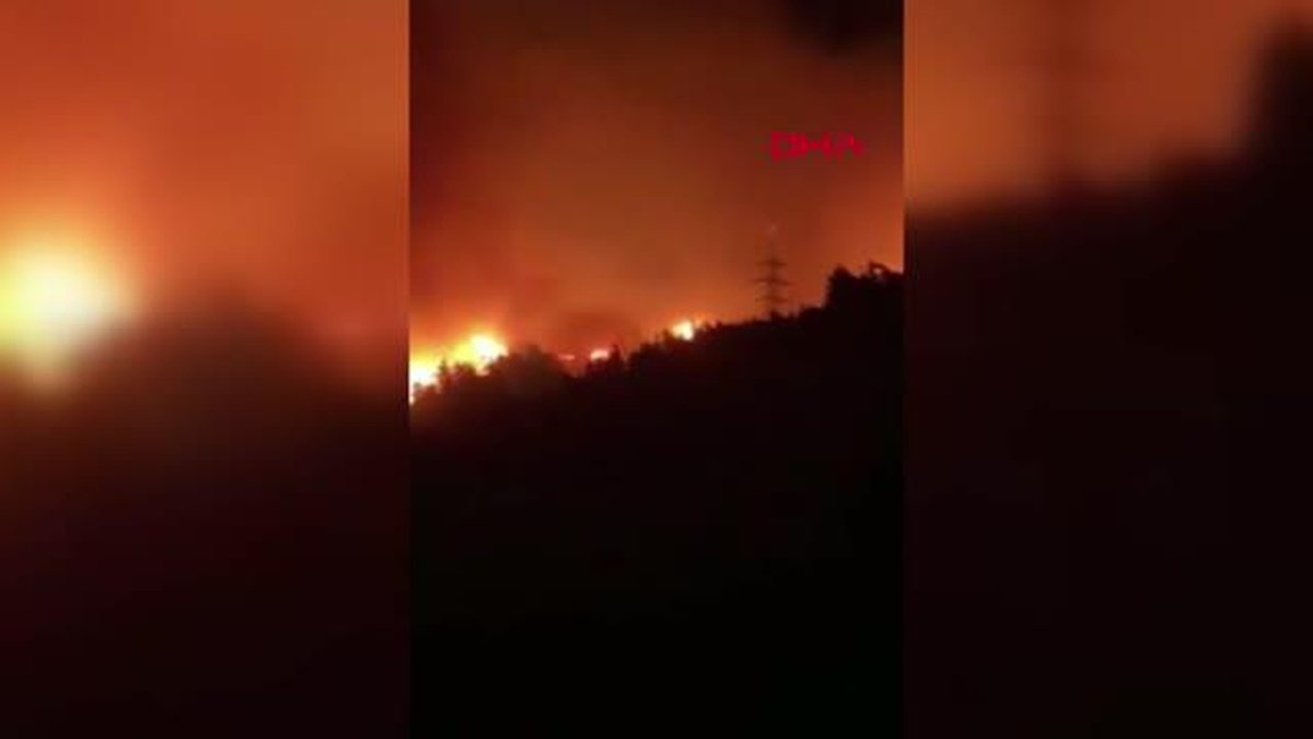Son dakika haberi... HATAY\'DA ORMAN YANGINI