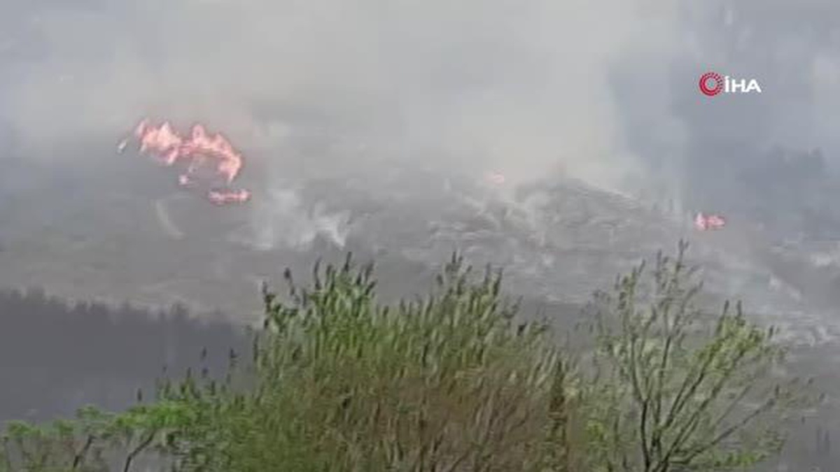 Hatay\'da orman yangını iki noktada devam ediyor