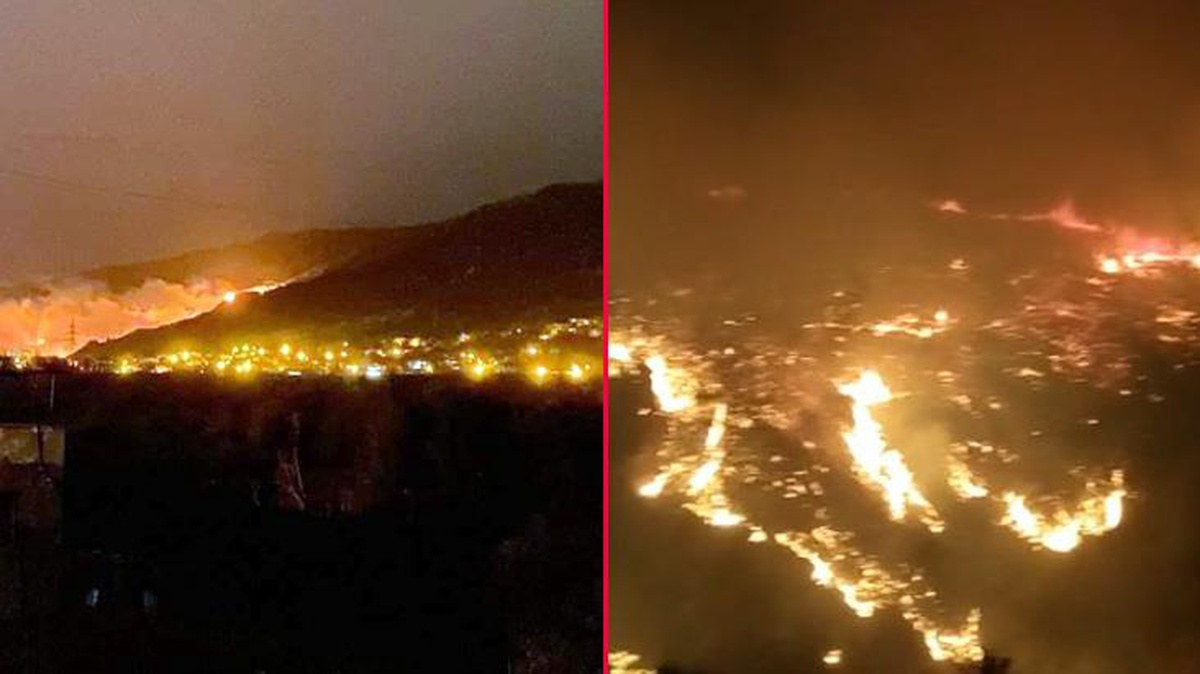 Hatay\'da korkutan yangın! Ormanlık alan rüzgarın etkisiyle kısa sürede küle döndü