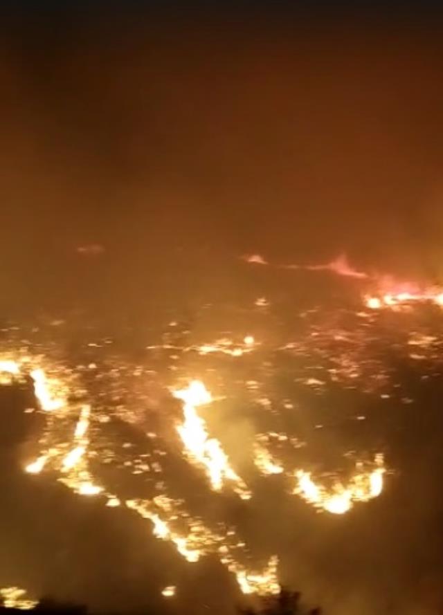 Hatay'da orman yangını! Rüzgarın etkisiyle kısa sürede büyüdü, ekipler söndürmek için seferber oldu