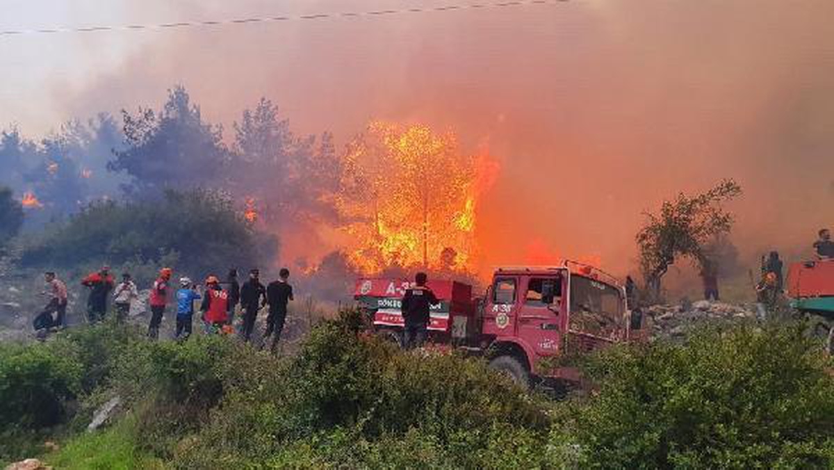 HATAY\'DAKİ ORMAN YANGININI SÖNDÜRME ÇALIŞMALARINA VATANDAŞLAR DA DESTEK VERİYOR