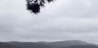 Kırklareli'de İstanbul'a su sağlayan Kazandere ve Pabuçdere barajları taştı