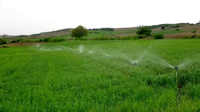 Kuraklık buğday üreticisine 30 yıl sonra tarla sulattı