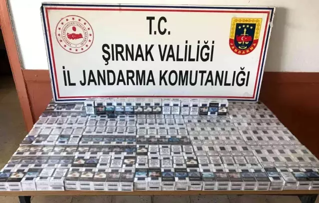 Kaçakçılık ve asayiş operasyonu: 72 gözaltı