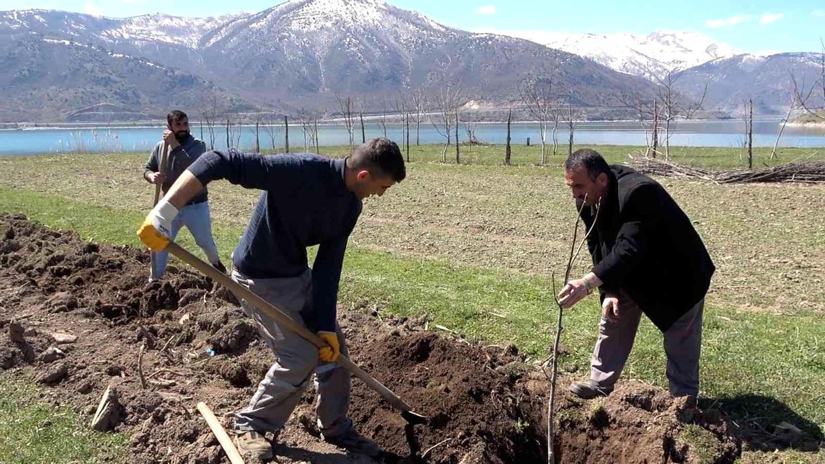 Tatvan'da meyve fidanları toprakla buluştu