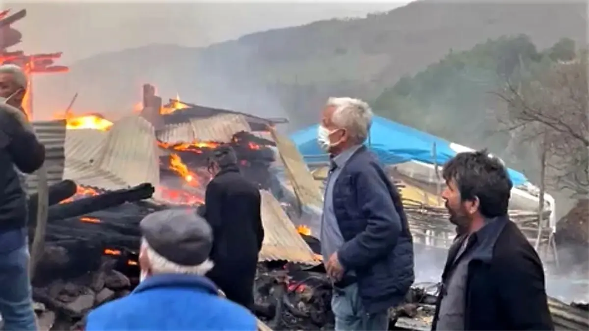 Tokat'ta ahır yangınında 3 buzağı telef oldu