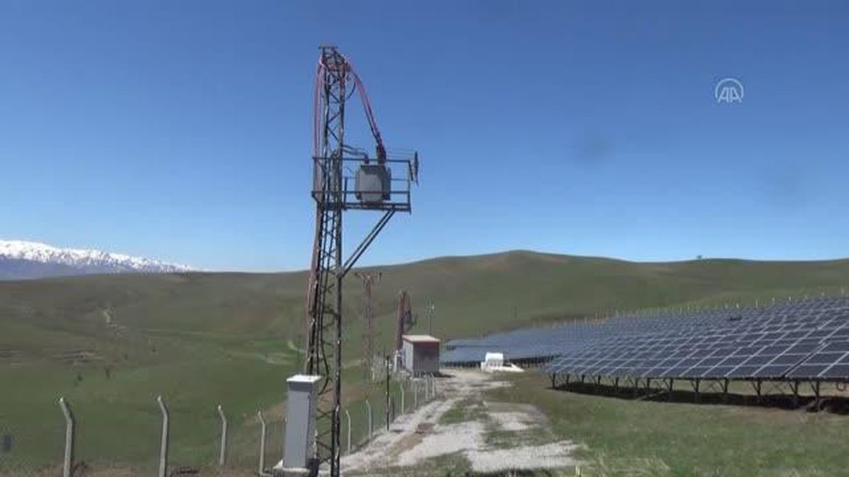 Üç girişimci 20 dönümlük araziye güneş enerjisi santrali kurdu