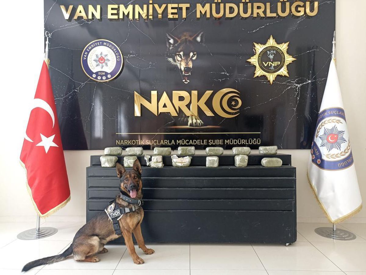 Van\'da bir haftada 15 kilo 263 gram uyuşturucu ele geçirildi