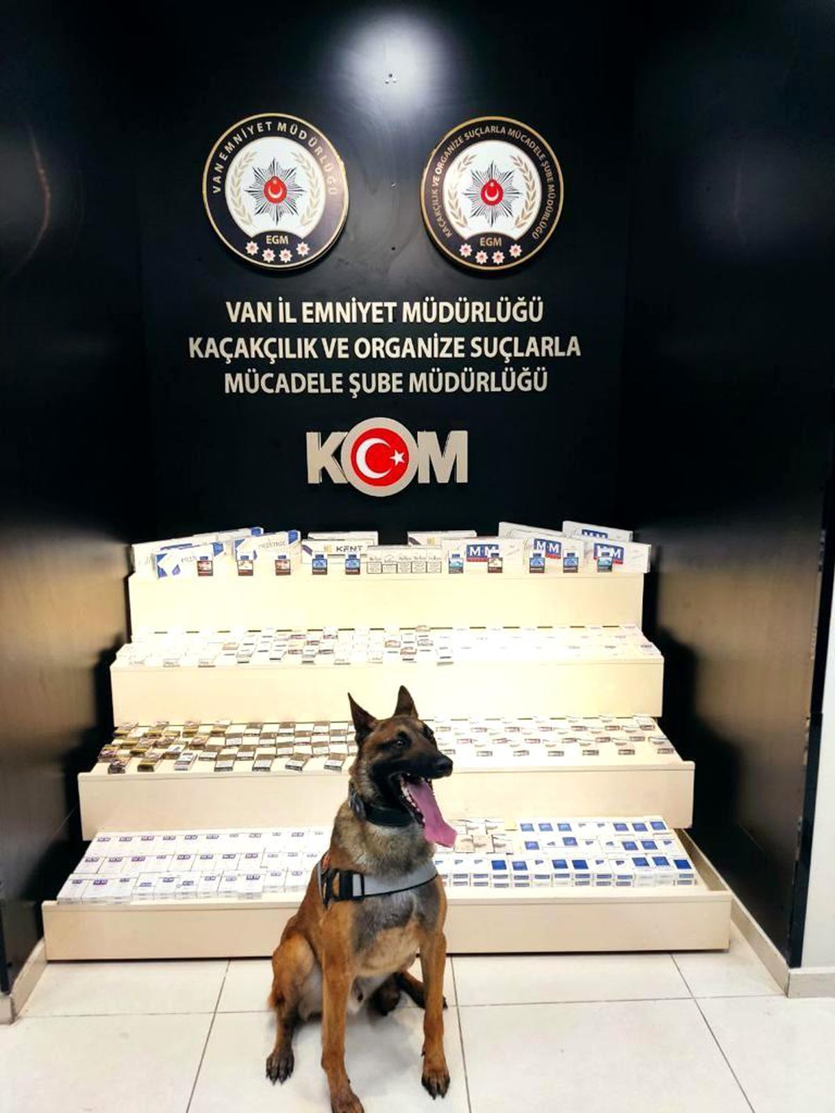 Van\'da gümrük kaçakçılığı operasyonu