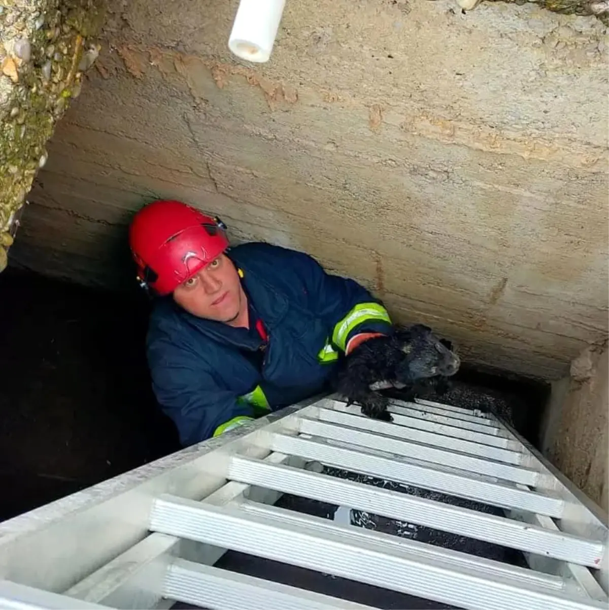 Son Dakika | Çiftlikköy'de kuyuya düşen yavru köpek itfaiye ekiplerince kurtarıldı