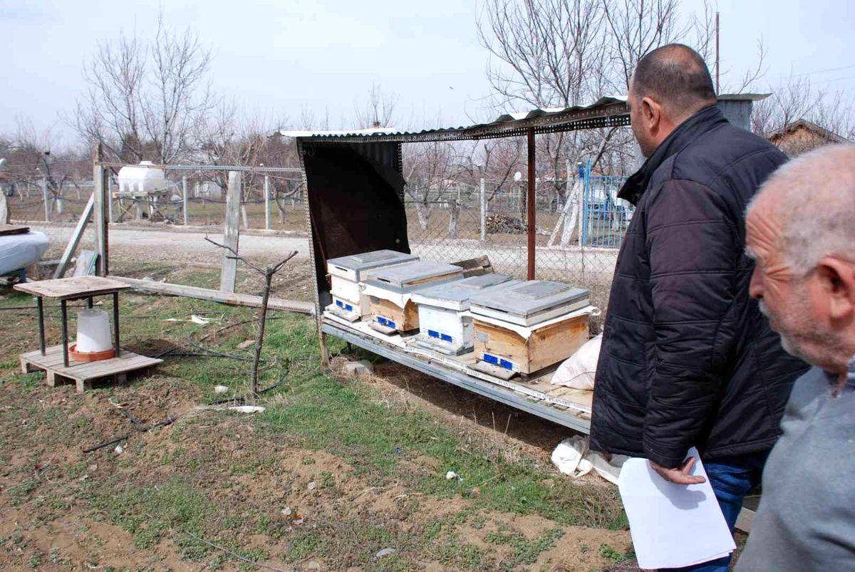Akyurt\'ta amatör arıcılara yüzde 100 destek