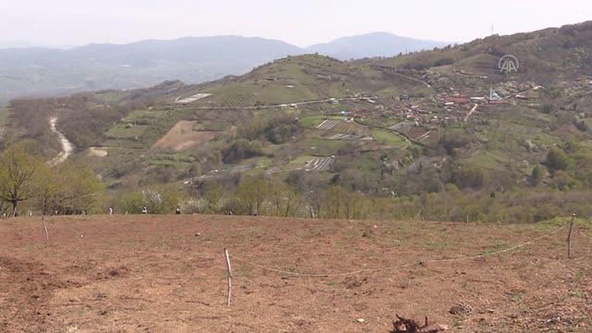 Son dakika: Çocukluk arkadaşı 4 mühendis atıl araziyi tarıma kazandırıyor