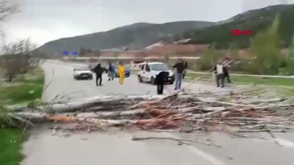 DEVRİLEN AĞACI BALTAYLA BUDAYARAK YOLU AÇTILAR