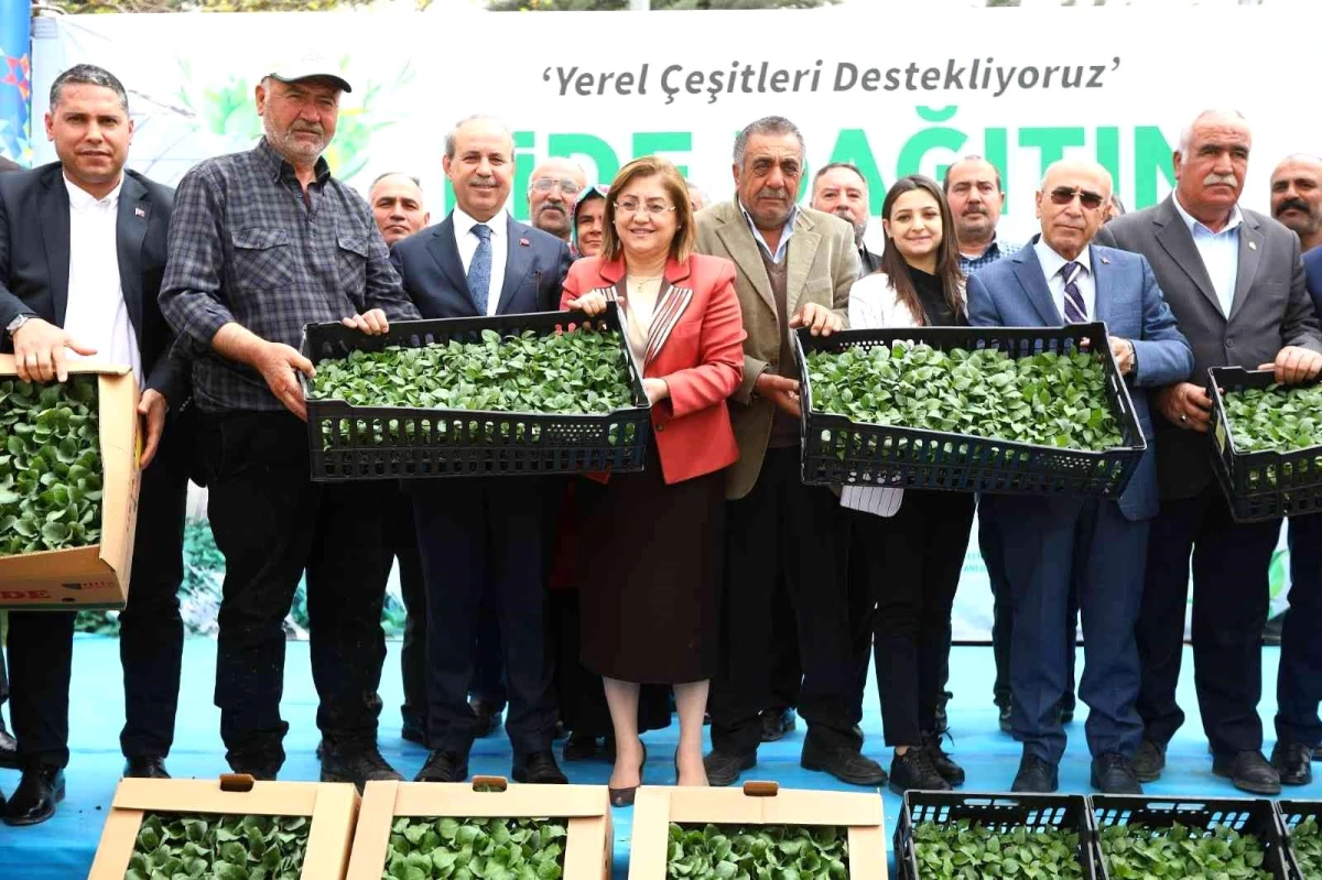 Gaziantep\'te tarımsal üretime 2 milyon fide desteği