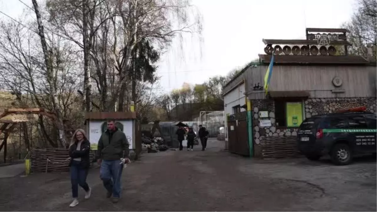 Lviv, savaş bölgelerinden kurtarılan hayvanların barınağı oldu