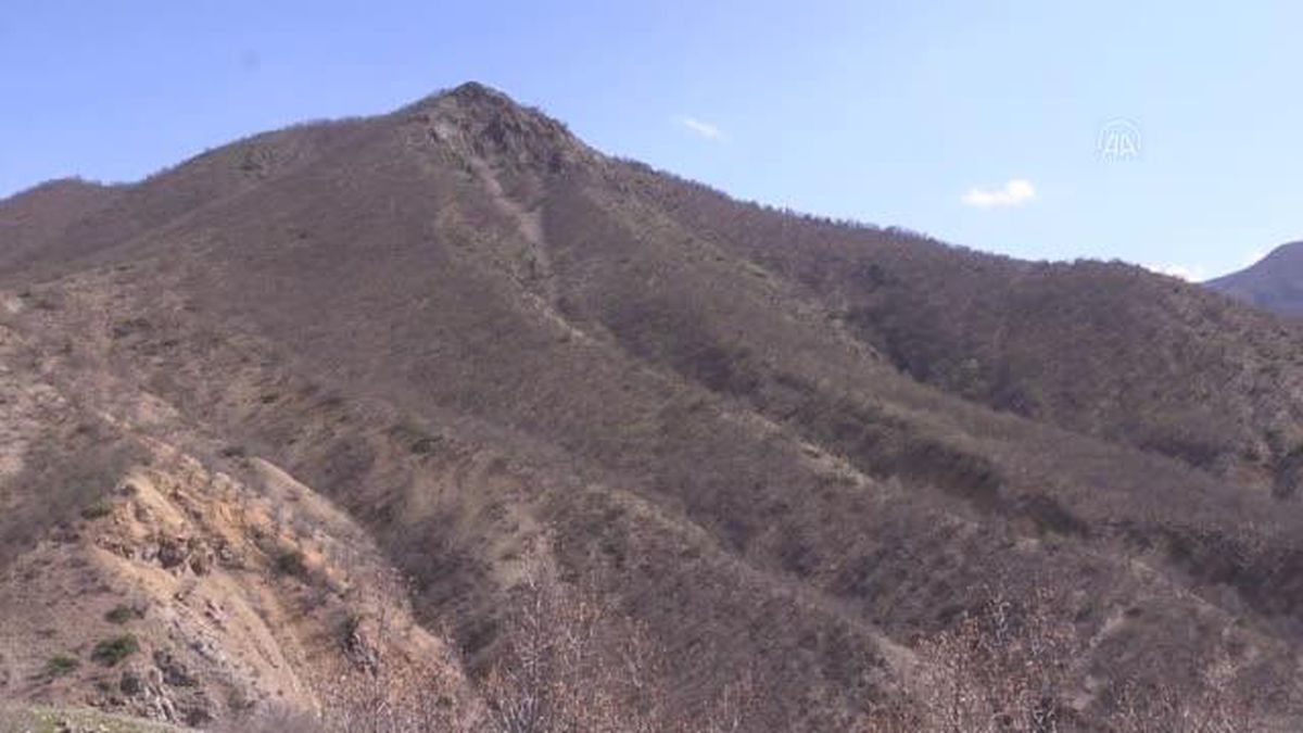 200 kınalı keklik doğaya salındı