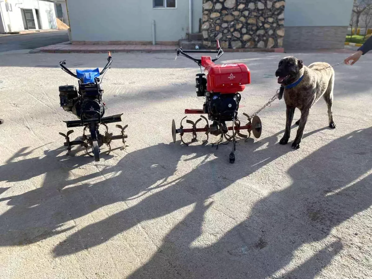 Elazığ\'da çapa motoru ve kangal köpeği çalan şüpheliler yakalandı