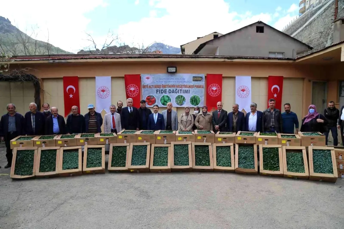 Gümüşhane\'de üreticilere 150 bin sebze fidesi dağıtıldı