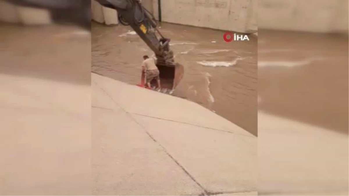 Jandarma personeli, su kanalına düşen ineği kurtarmak için kanala girdi