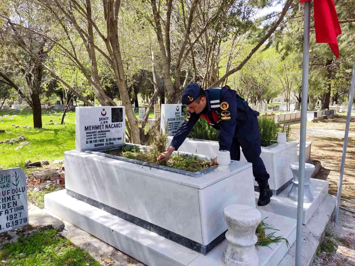 Son dakika haber! Jandarma şehitlikleri temizledi, bayrakları yeniledi