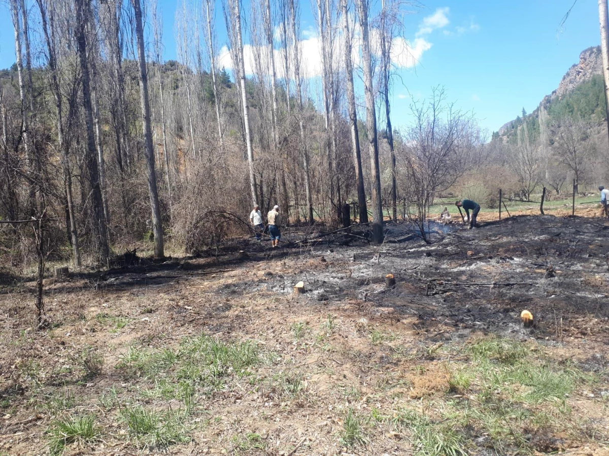 Karaman\'da çıkan yangın ormanlık alana sıçramadan söndürüldü