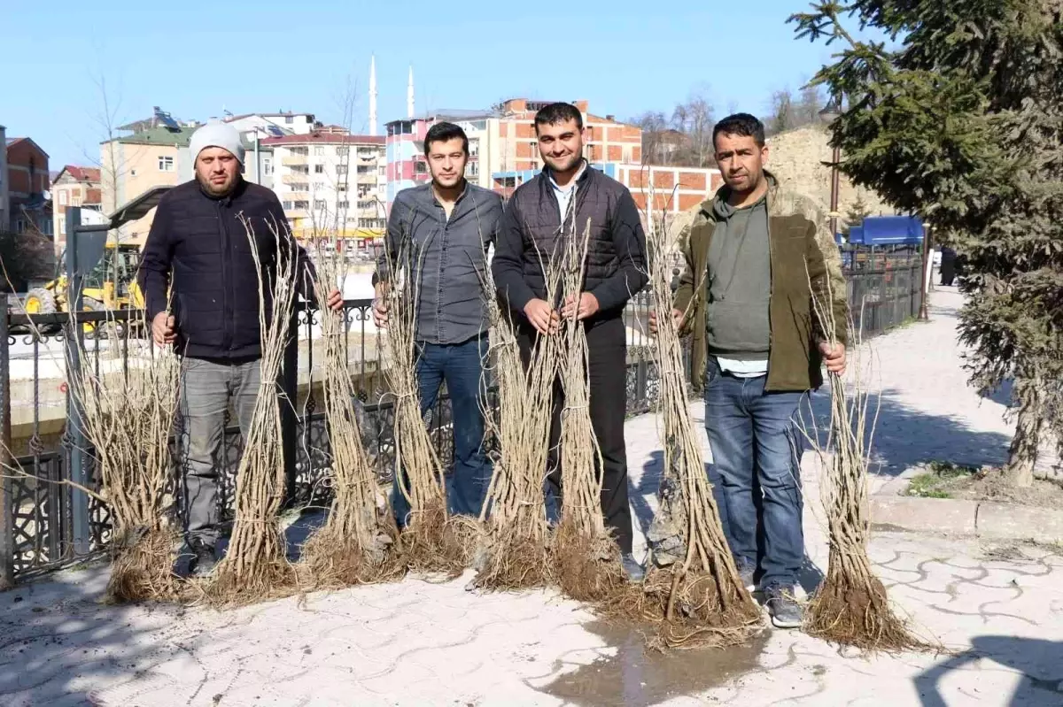 Ordu\'da ipek böcekçiliği yaygınlaşıyor