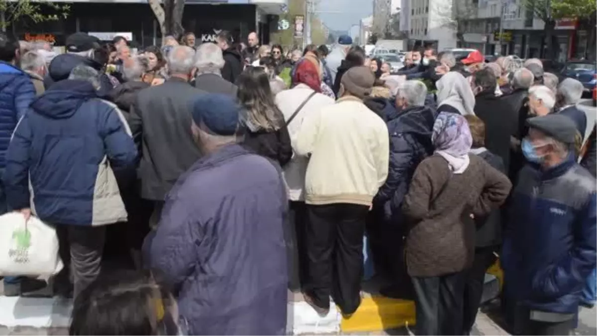 Saray\'da ata tohumu fideler dağıtıldı