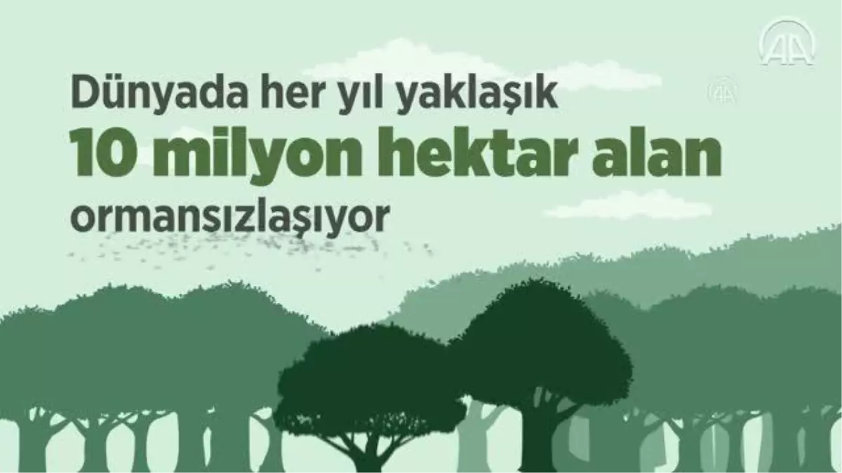 (VİDEO-GRAFİK) Dünyada 30 yılda Türkiye'nin 5 katı büyüklüğünde orman yok oldu