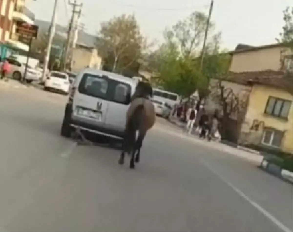 ATI, HAFİF TİCARİ ARACA BAĞLAYIP ÇEKEREK GÖTÜRDÜ