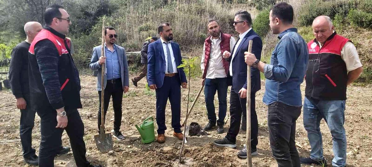 Ayvalık'ta incir demonstrasyon bahçesi